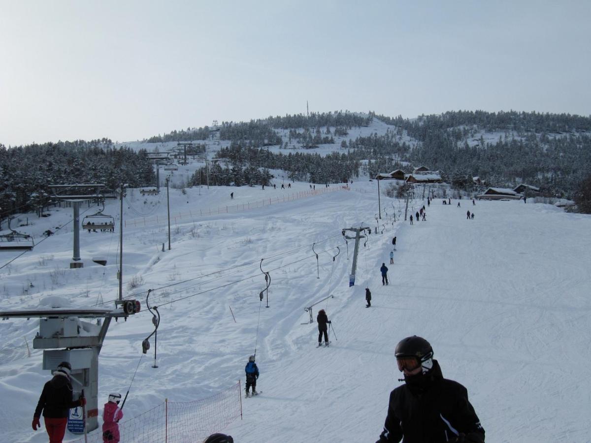 הוילה Vradal Panorama - Tiurasvegen 39 מראה חיצוני תמונה